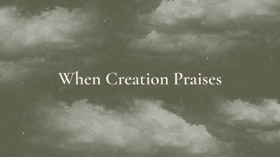 When Creation Praises